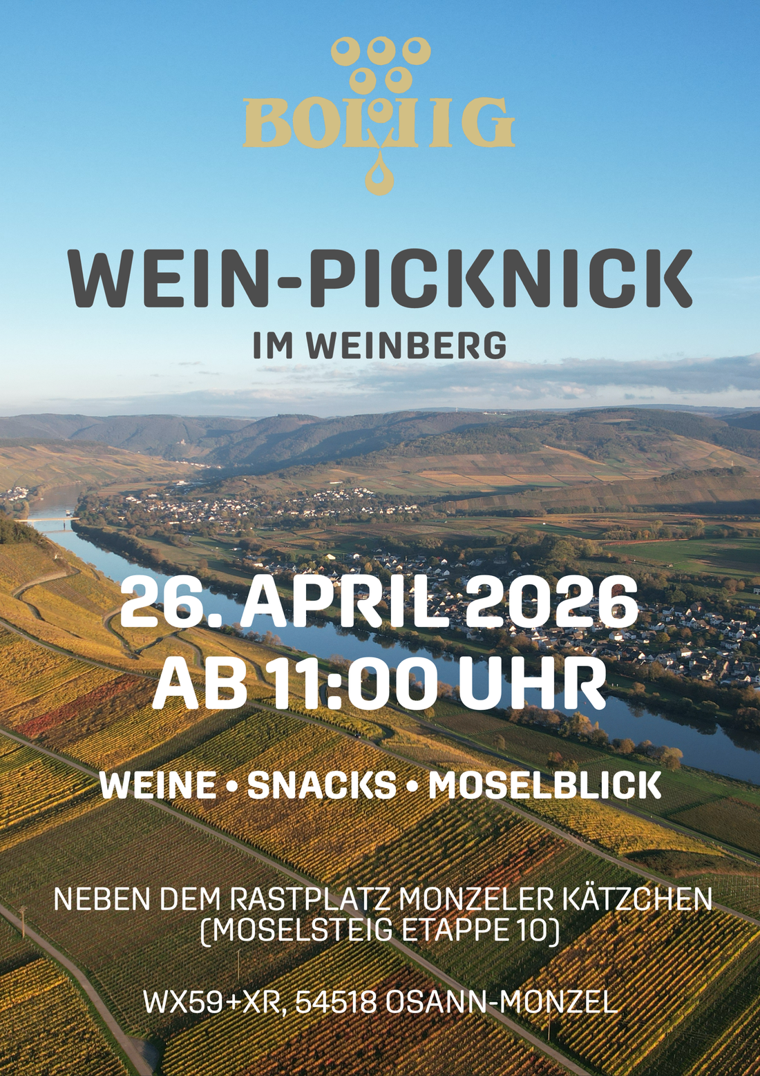Wein-Picknick im Weinberg am 26.04.2026
